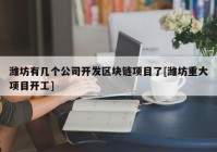 潍坊有几个公司开发区块链项目了[潍坊重大项目开工]